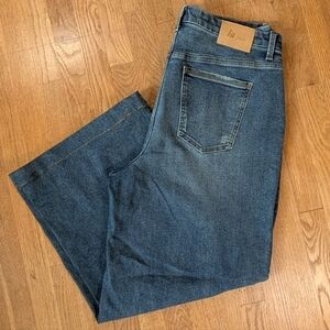 🌀La Joie Wide Leg Denim Daydreams – Size 16W